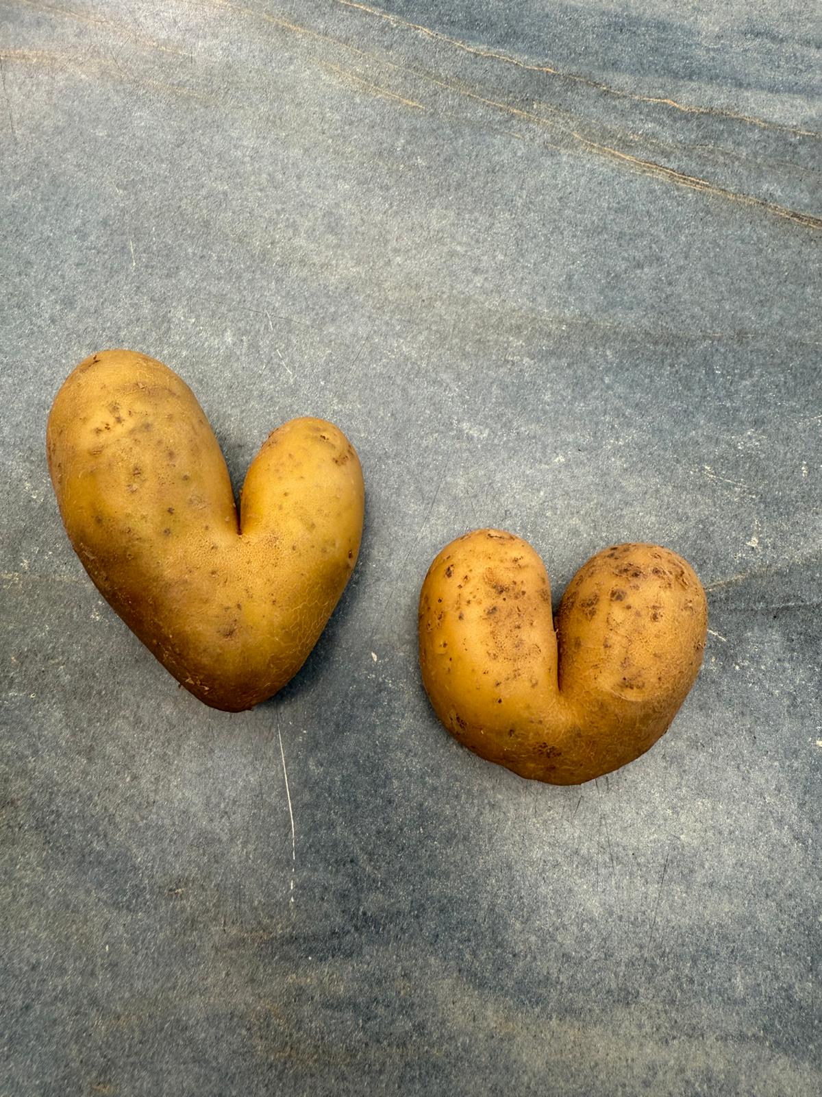 "Herzliche" Kartoffeln aus eigenem Anbau